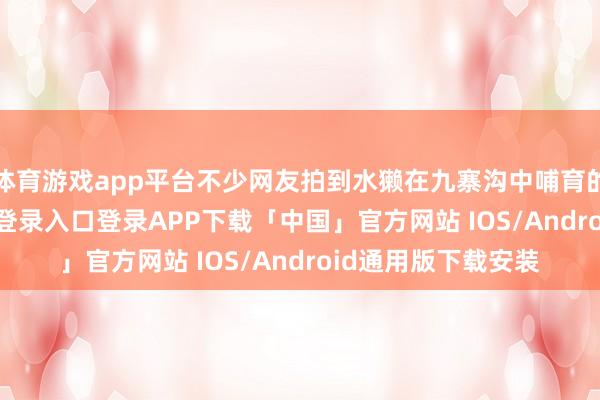 体育游戏app平台不少网友拍到水獭在九寨沟中哺育的画面-开云kaiyun登录入口登录APP下载「中国」官方网站 IOS/Android通用版下载安装